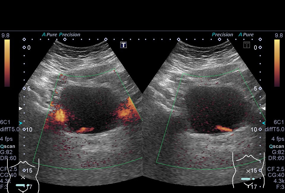フルタクリニック